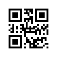 普通二维码示例